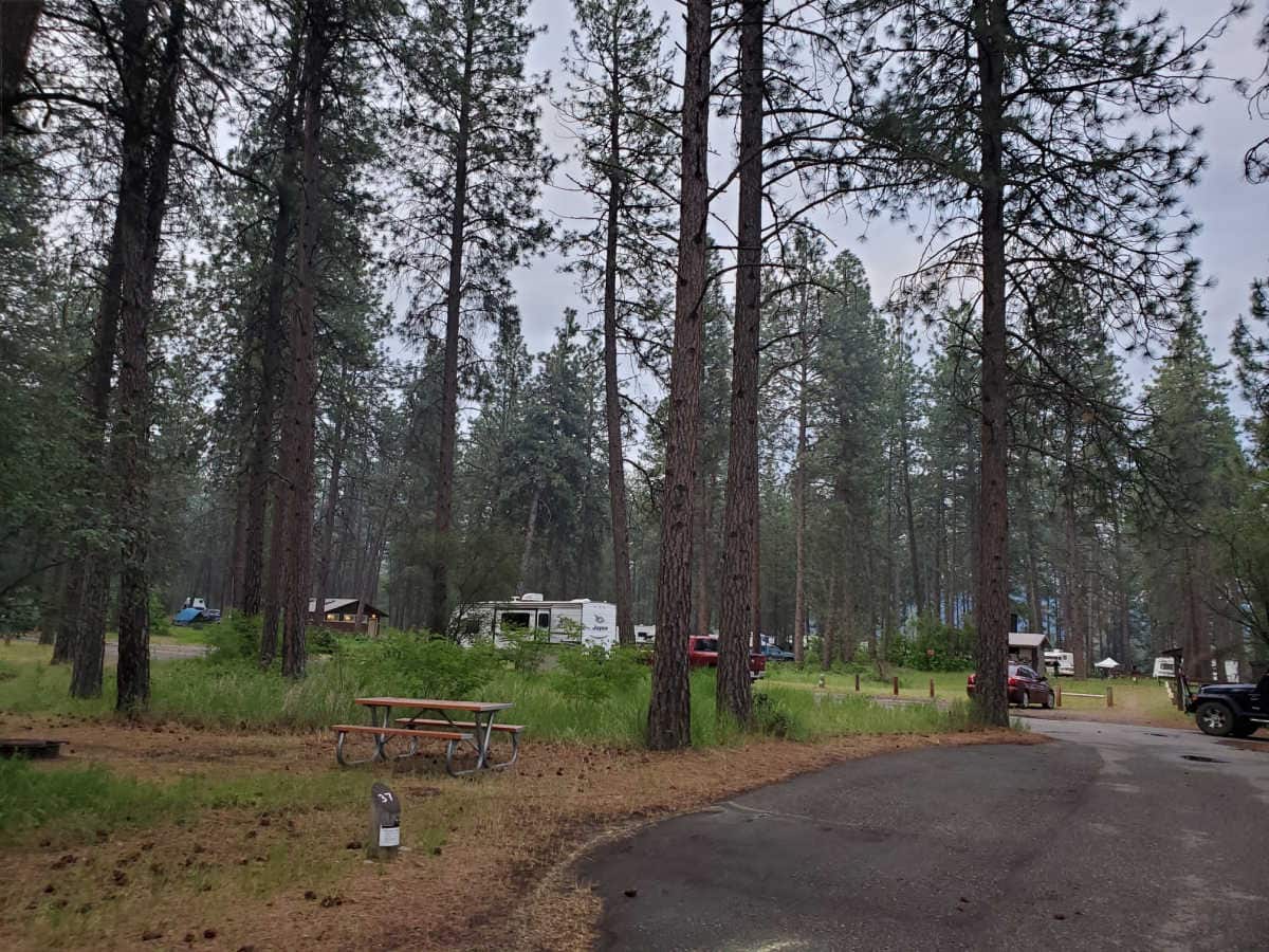 Campsite 37 Kettle Falls Campground Lake Roosevelt National Recreation Area Washington