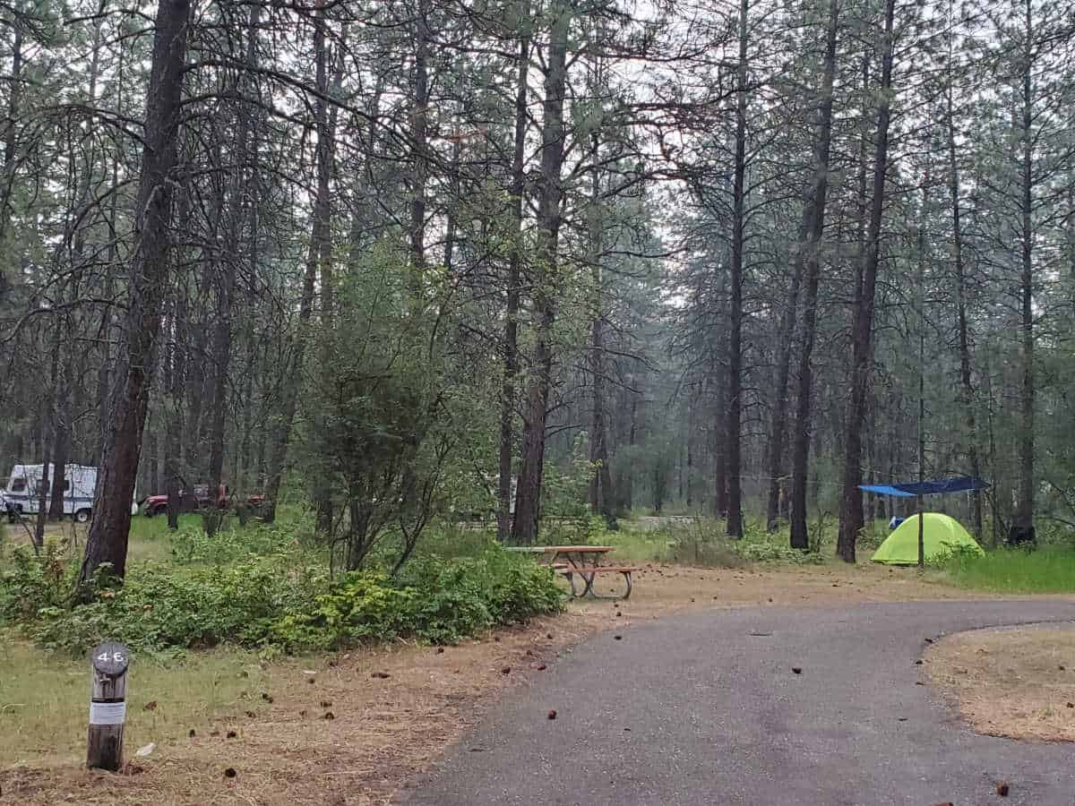 Campsite 46 Kettle Falls Campground Lake Roosevelt National Recreation Area Washington