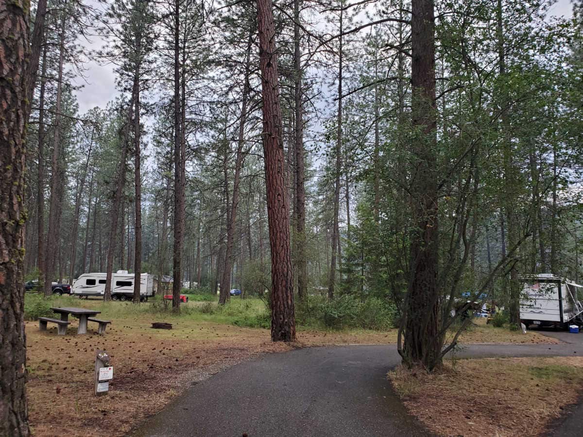Campsite 54 Kettle Falls Campground Lake Roosevelt National Recreation Area Washington