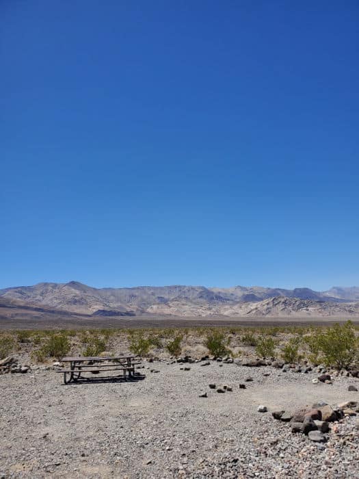 campsite in Wild Rose Campground with picnic table and view of mountains in the background