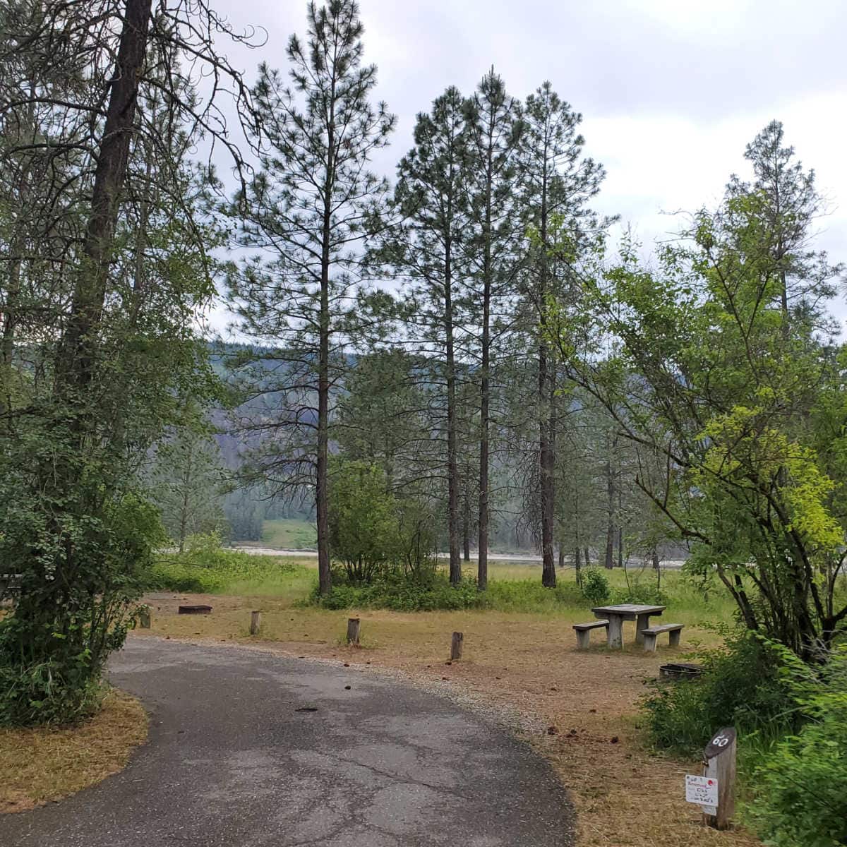 Campsite 60 Kettle Falls Campground Lake Roosevelt National Recreation Area Washington