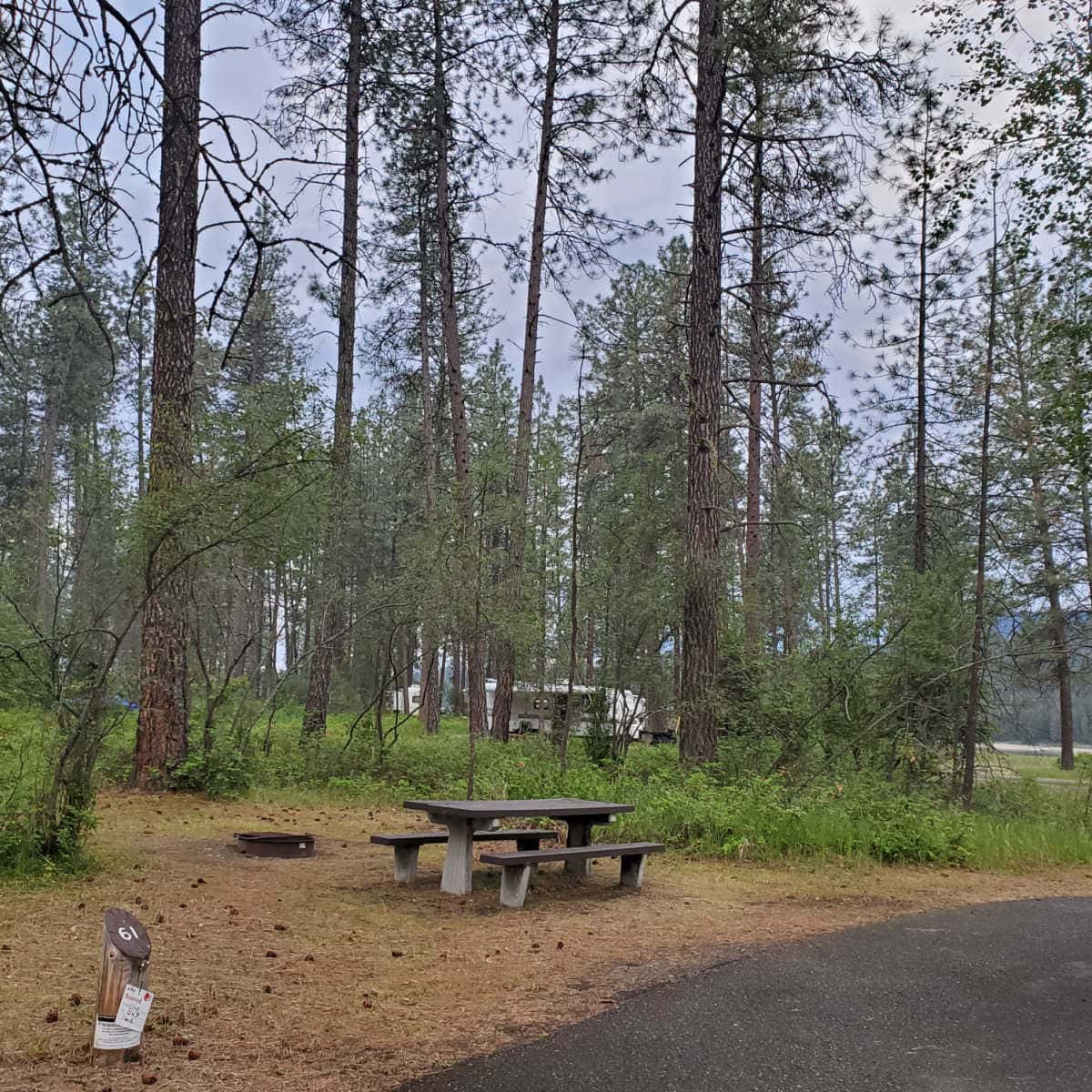 Campsite 61 Kettle Falls Campground Lake Roosevelt National Recreation Area Washington