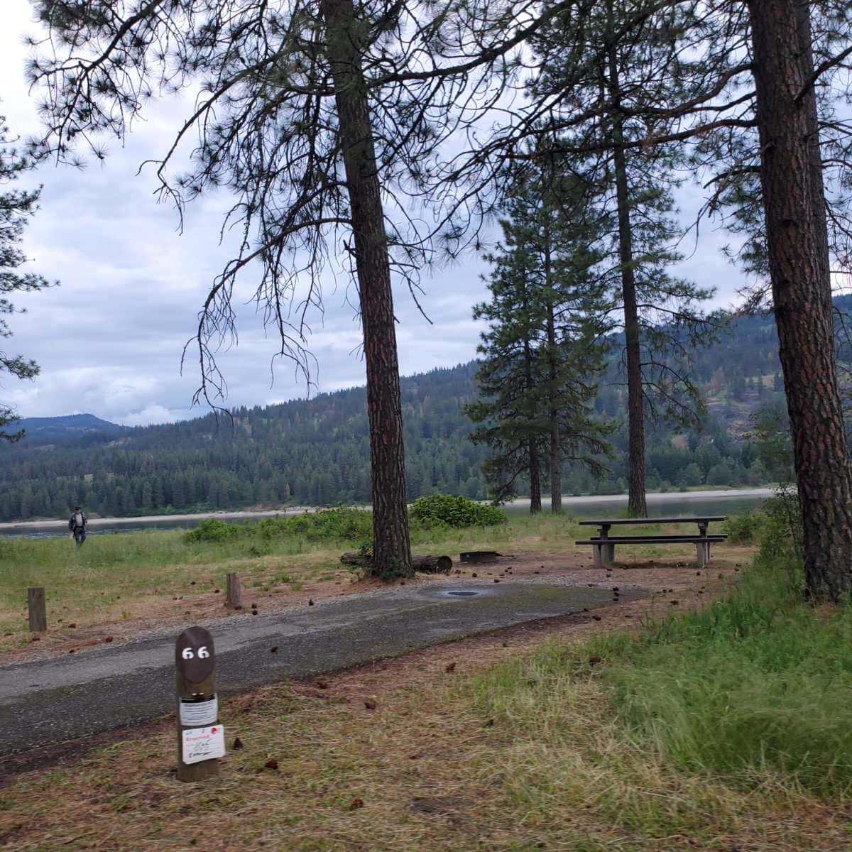 Campsite 66 Kettle Falls Campground Lake Roosevelt National Recreation Area Washington