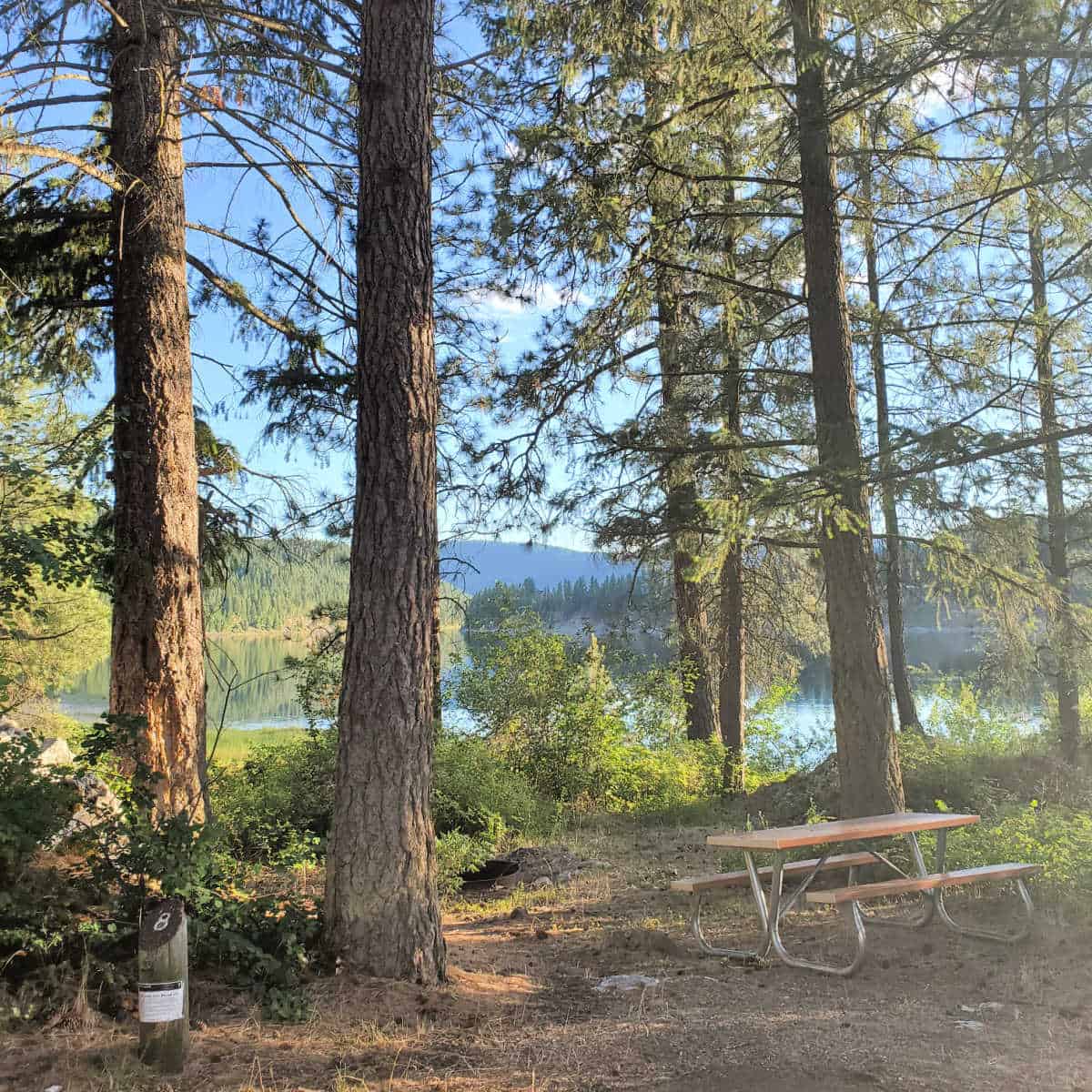 Campsite 8 North Gorge Campground Lake Roosevelt National Recreation Area