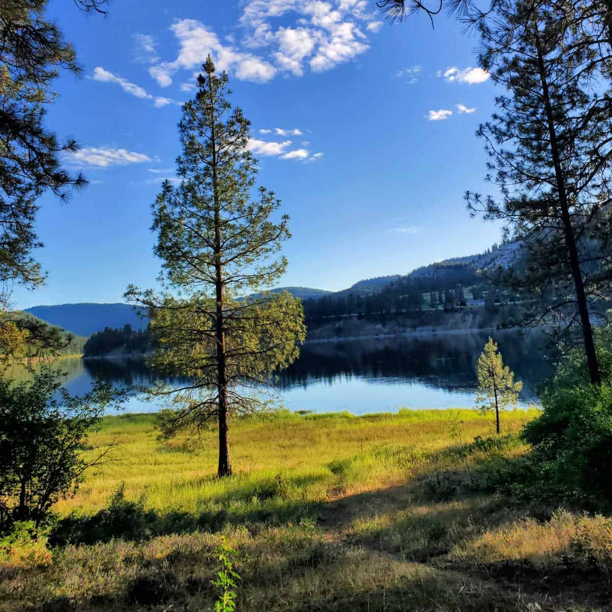 View from North Gorge Campground Lake Roosevelt National Recreation Area