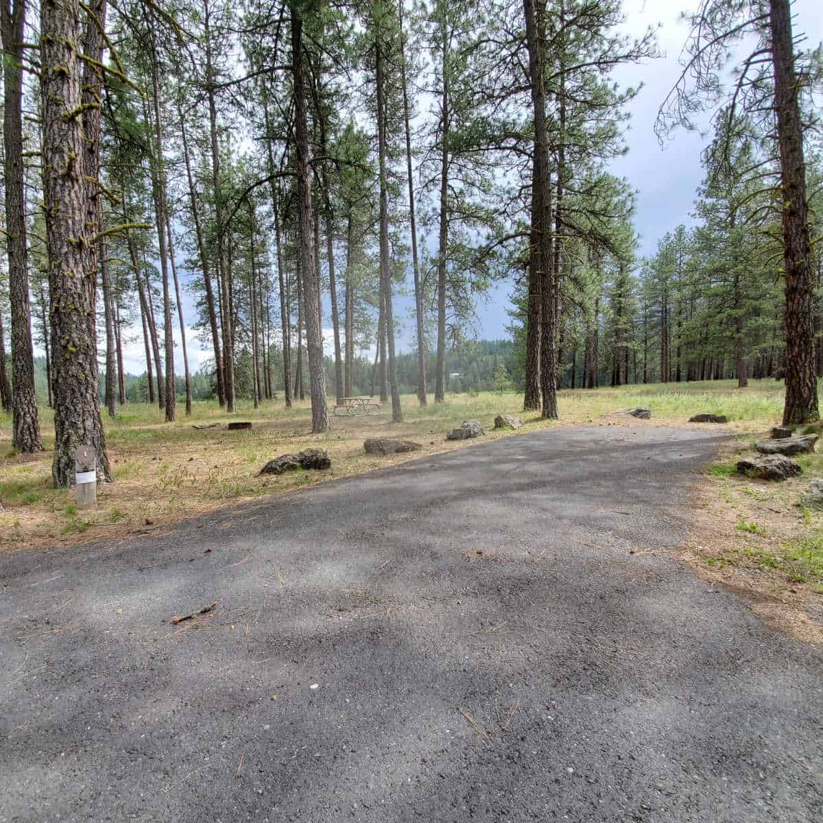 Campsite 1 Kettle River Campground Lake Roosevelt National Recreation Area Washington