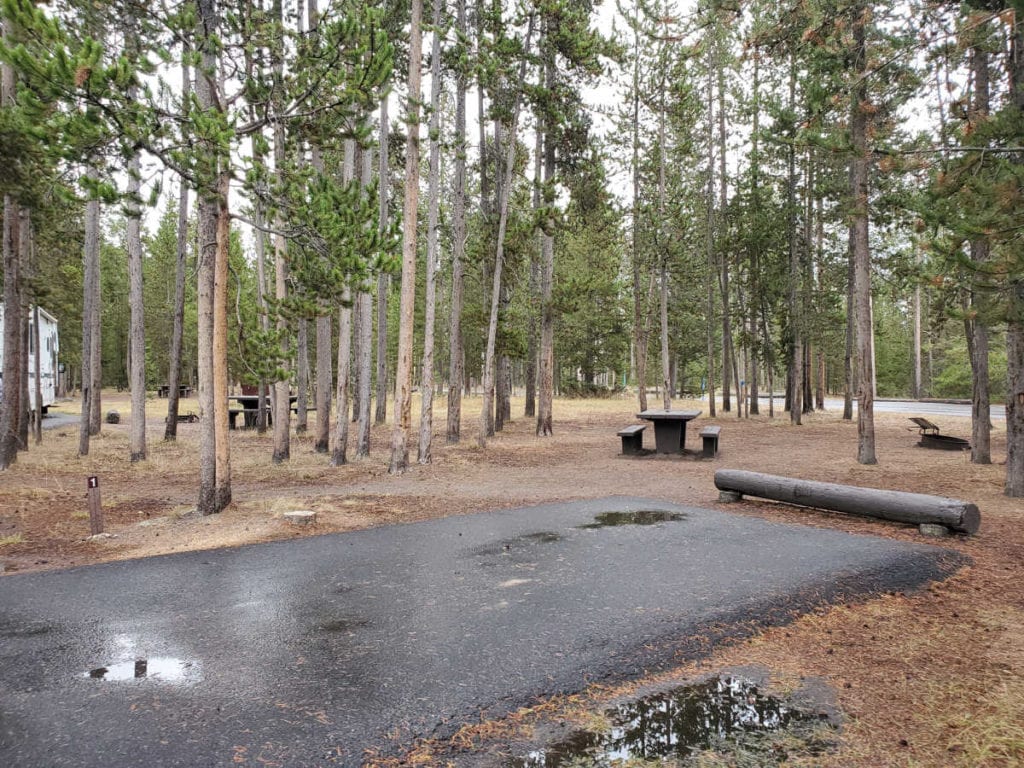 Campsite 1 Madison Campground Yellowstone National Park