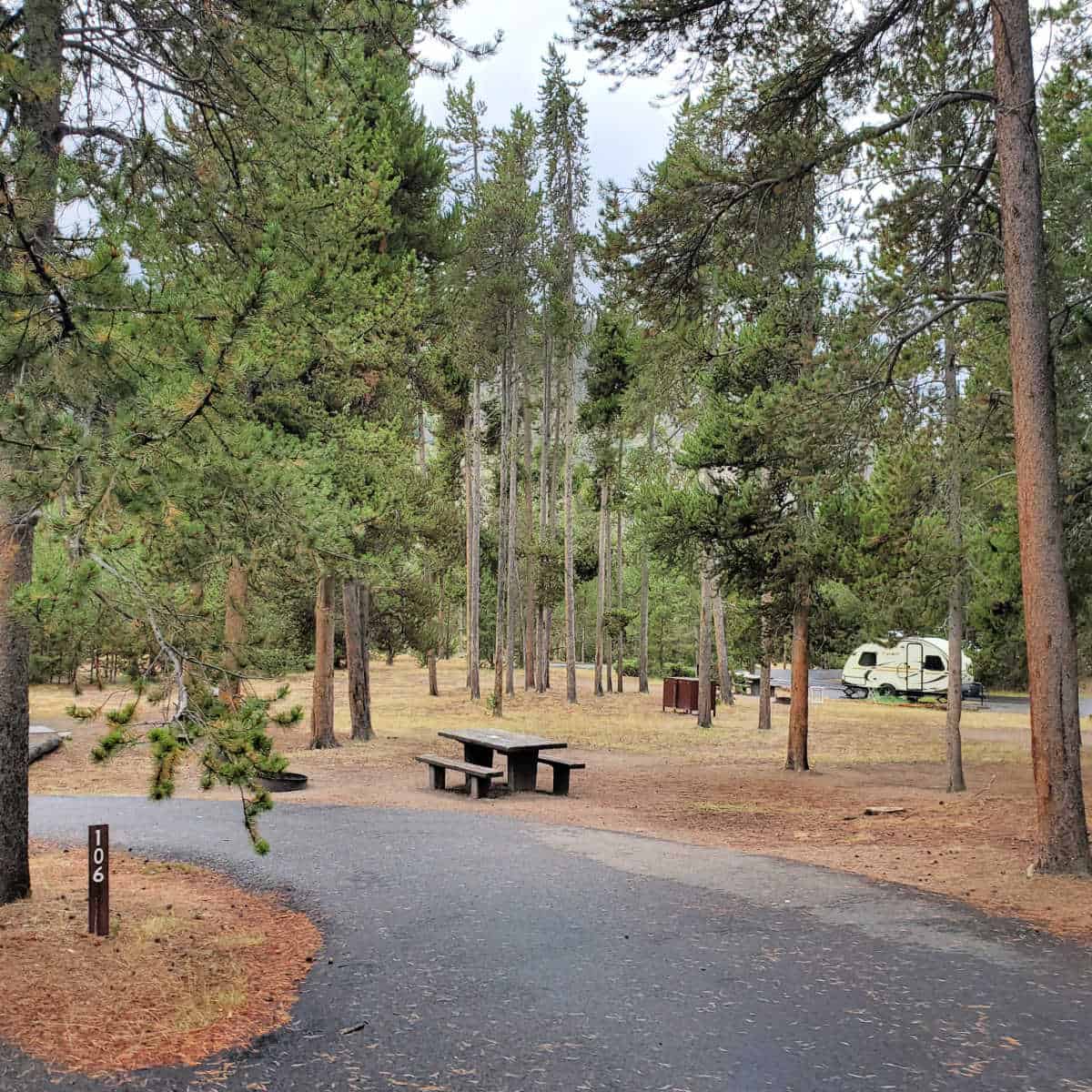 Campsite 106 Madison Campground Yellowstone National Park