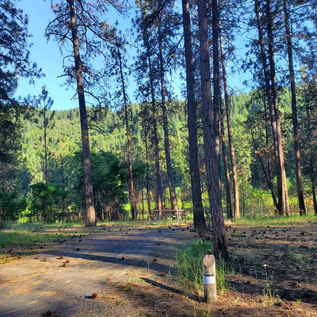 Campsite 11 Marcus Island Campground Lake Roosevelt National Recreation Area