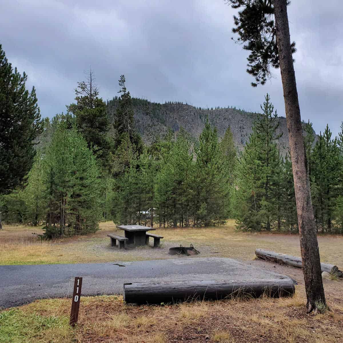 Campsite 110 Madison Campground Yellowstone National Park