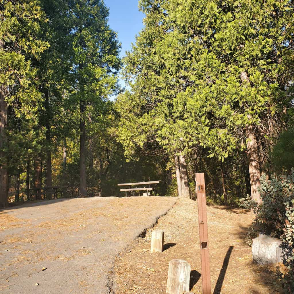 Campsite 14 Cedar Bluff Campground Bass Lake