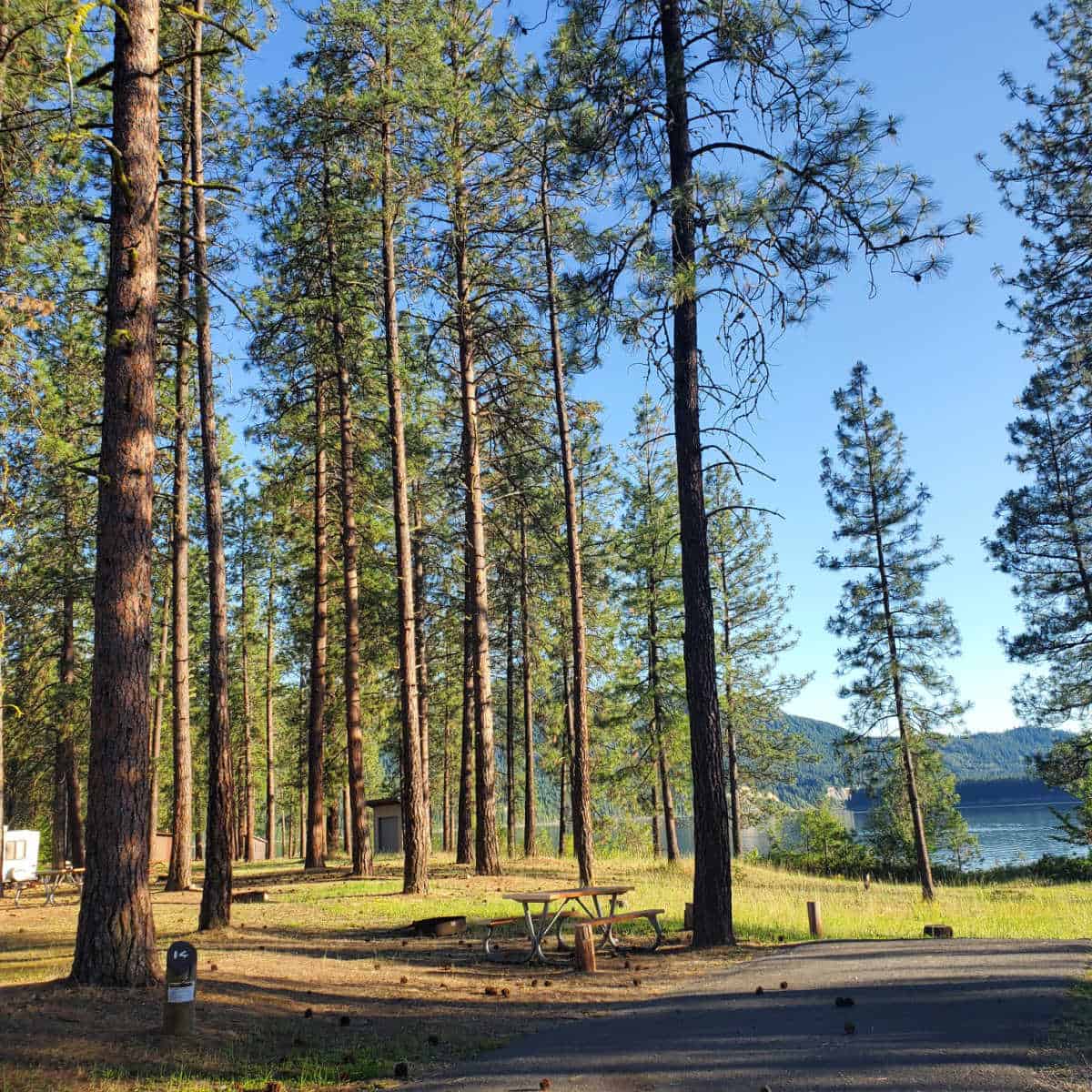 Campsite 14 Evans Campground Lake Roosevelt National Recreation Area