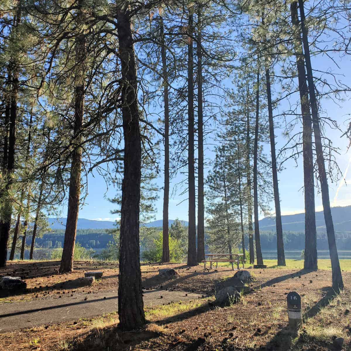 Campsite 16 Evans Campground Lake Roosevelt National Recreation Area