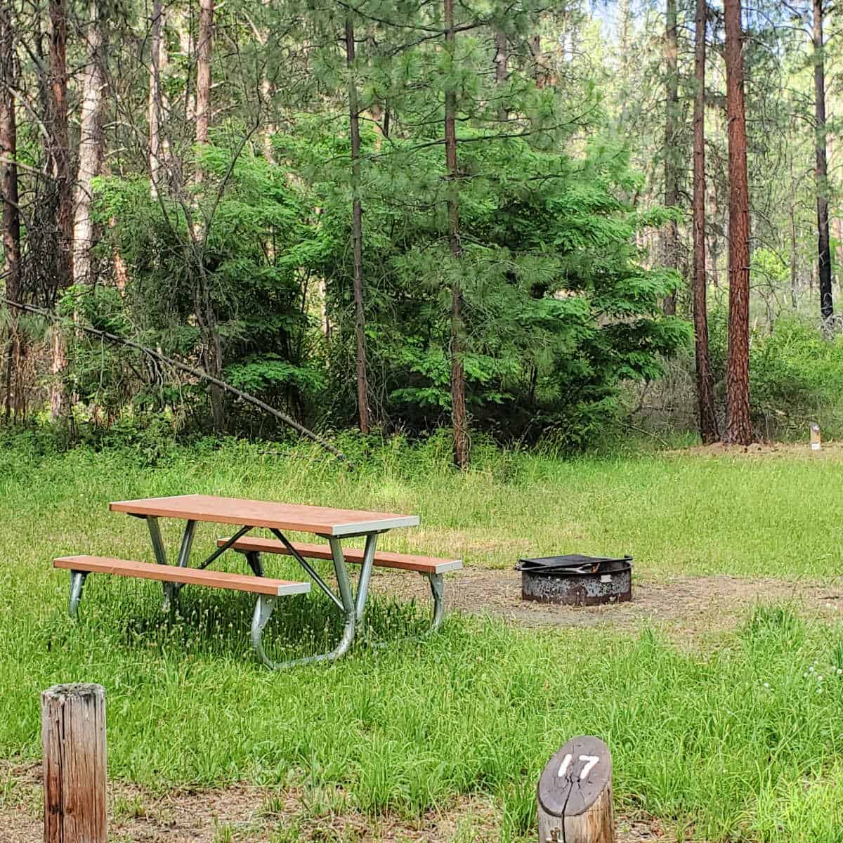 Campsite 17 Haag Cove Campground Lake Roosevelt National Recreation Area