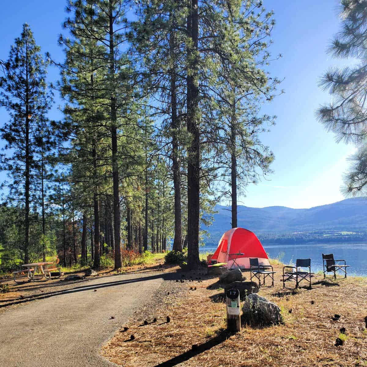 Campsite 17 Marcus Island Campground Lake Roosevelt National Recreation Area