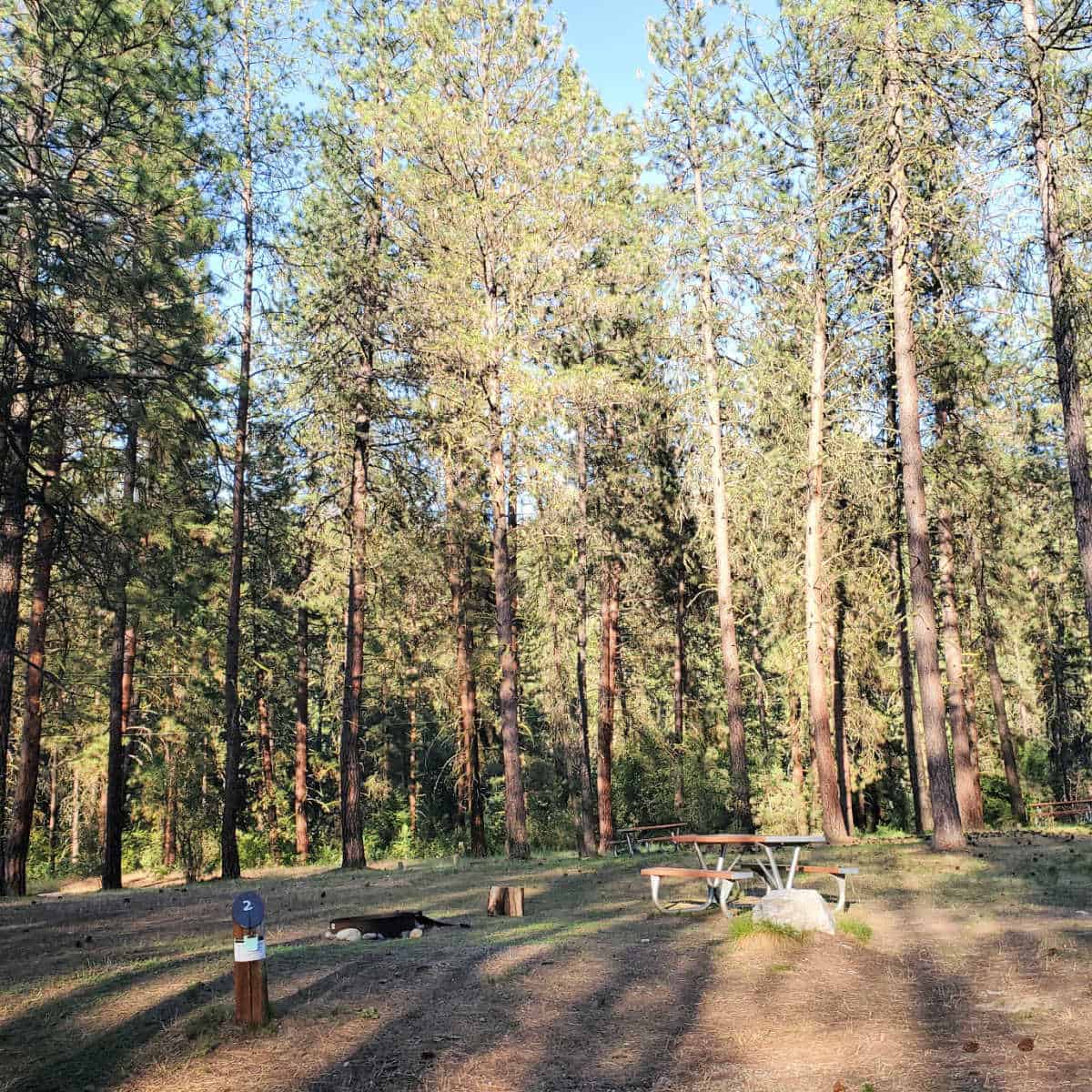 Campsite 2 Evans Campground Lake Roosevelt National Recreation Area