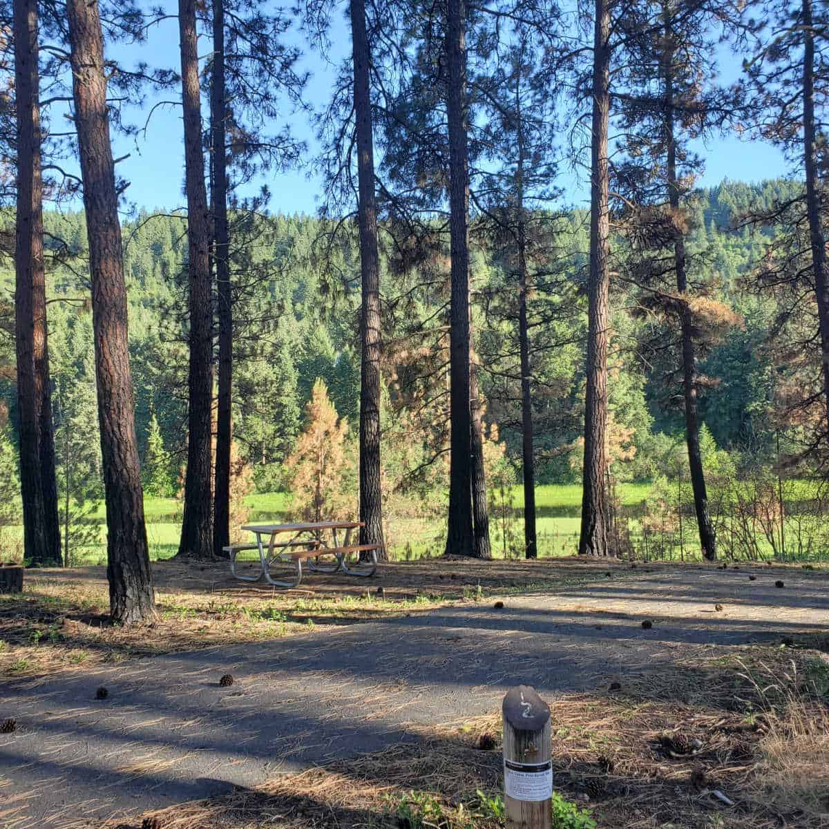 Campsite 2 Marcus Island Campground Lake Roosevelt National Recreation Area