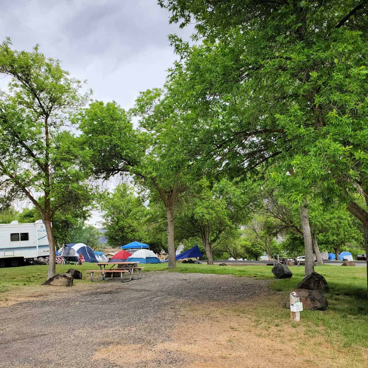 Campsite 2 Spring Canyon Campground Lake Roosevelt National Recreation Area Washington