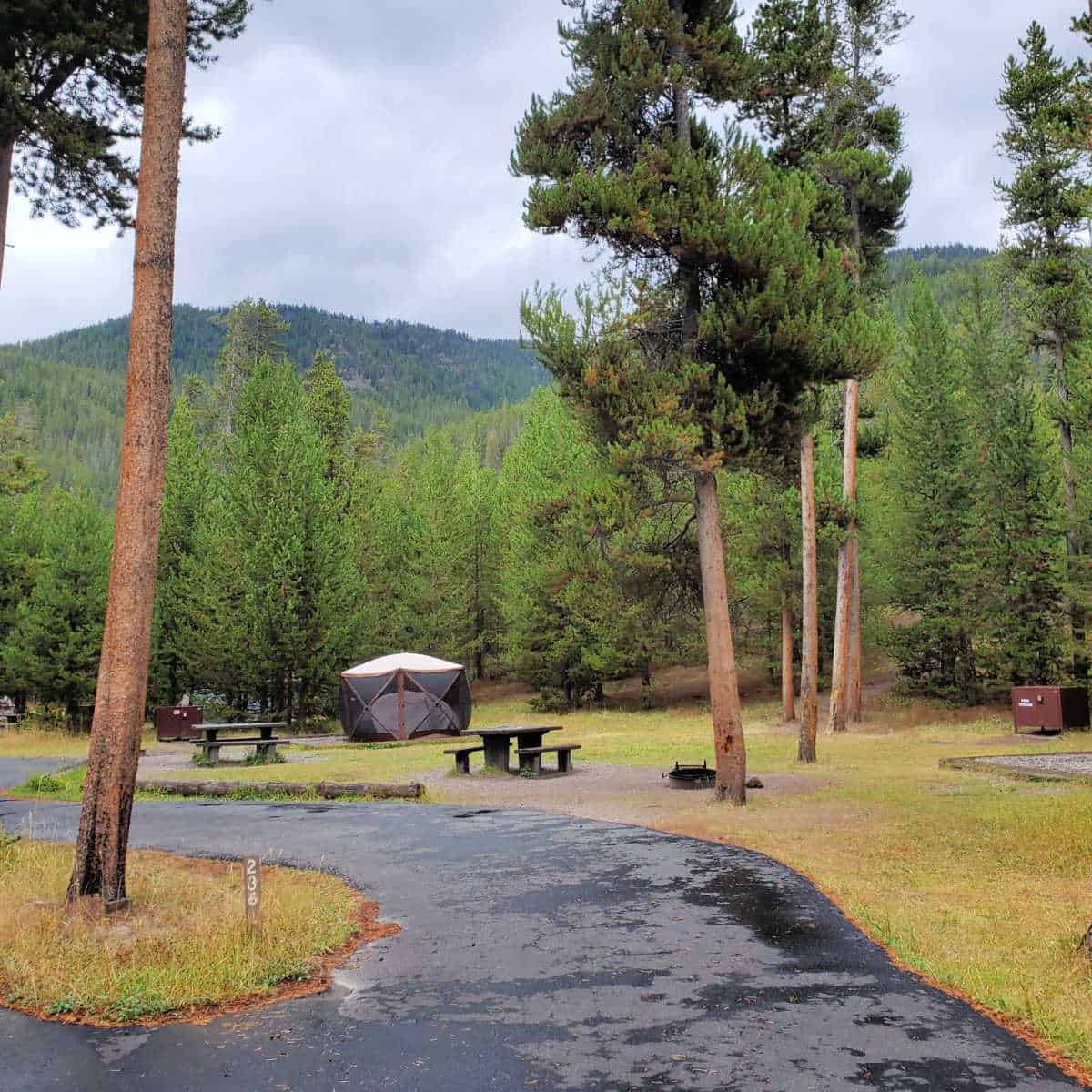 Campsite 236 Madison Campground Yellowstone National Park