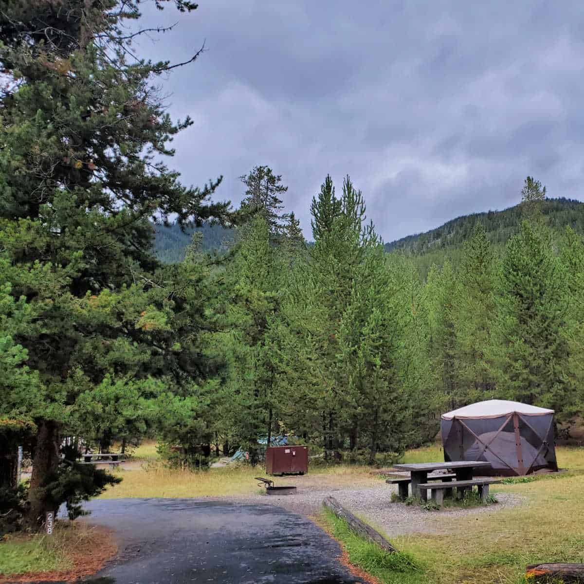 Campsite 238 Madison Campground Yellowstone National Park