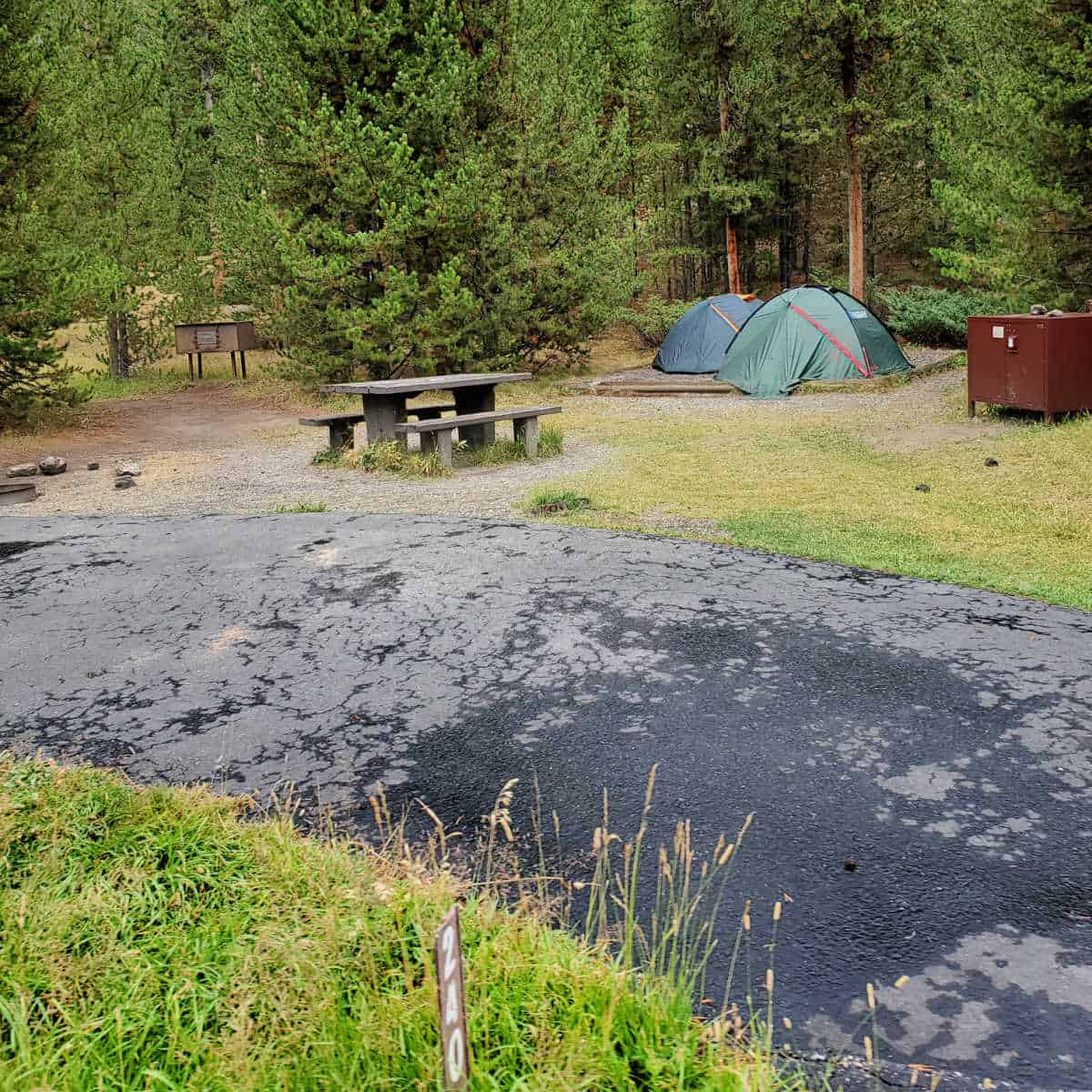 Campsite 240 Madison Campground Yellowstone National Park