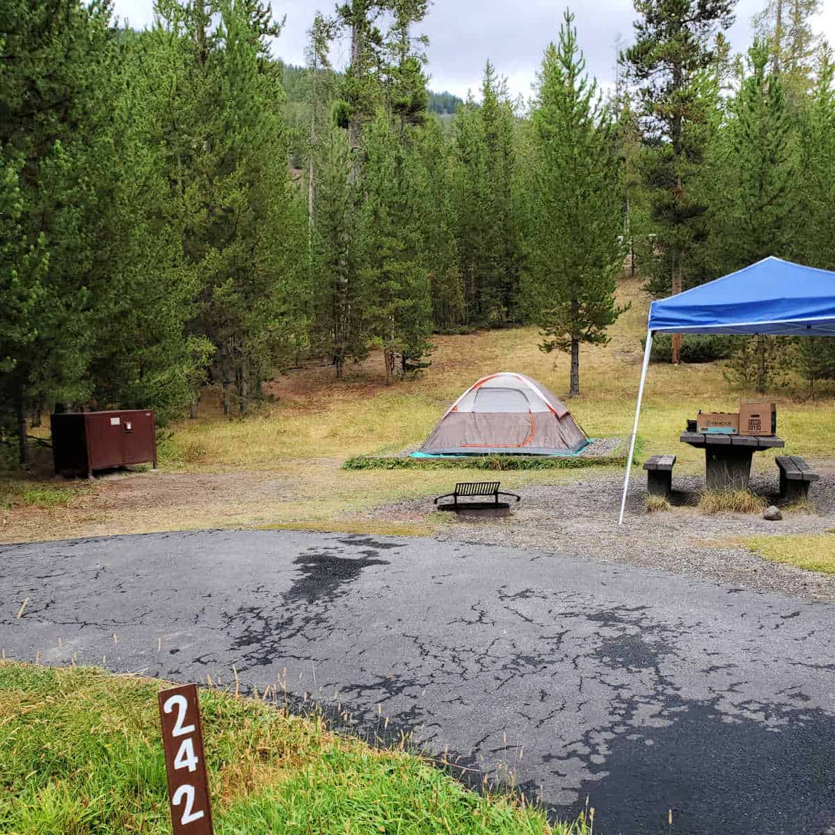 Campsite 242 Madison Campground Yellowstone National Park
