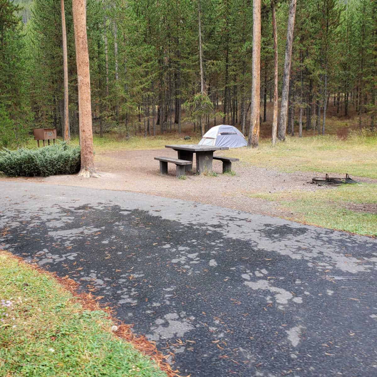 Campsite 246 Madison Campground Yellowstone National Park