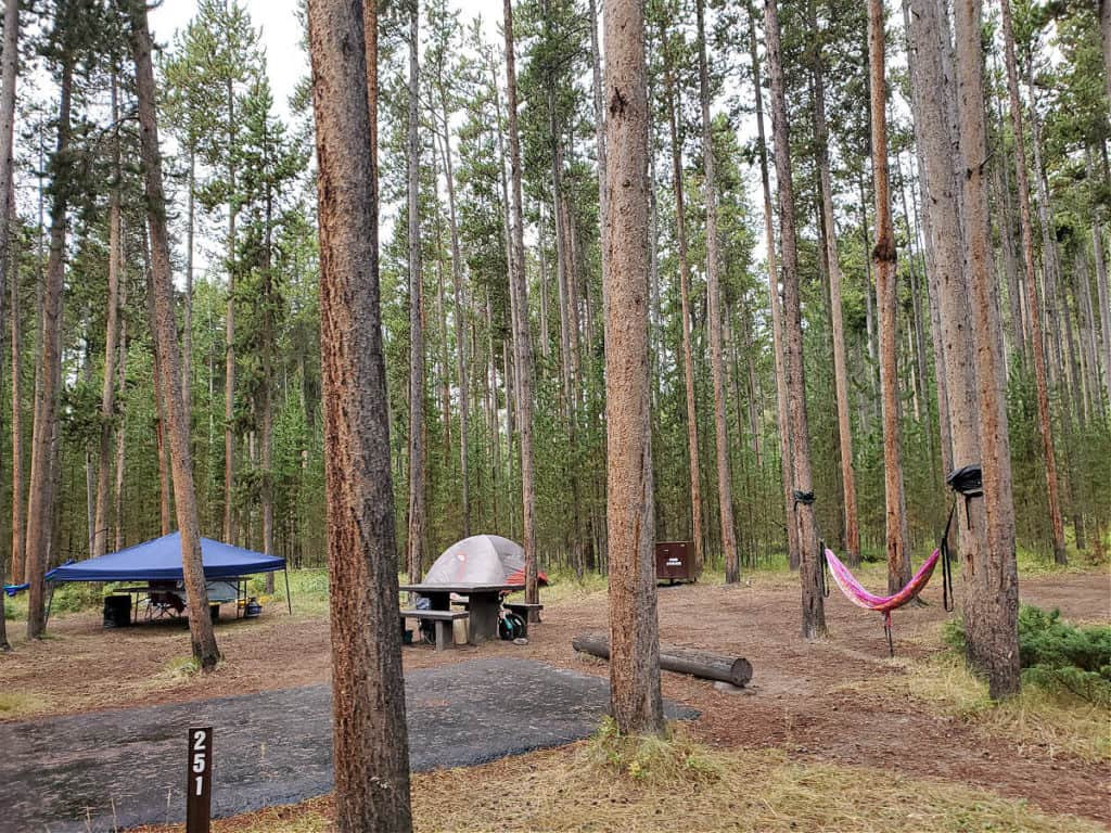 Campsite 251 Madison Campground Yellowstone National Park