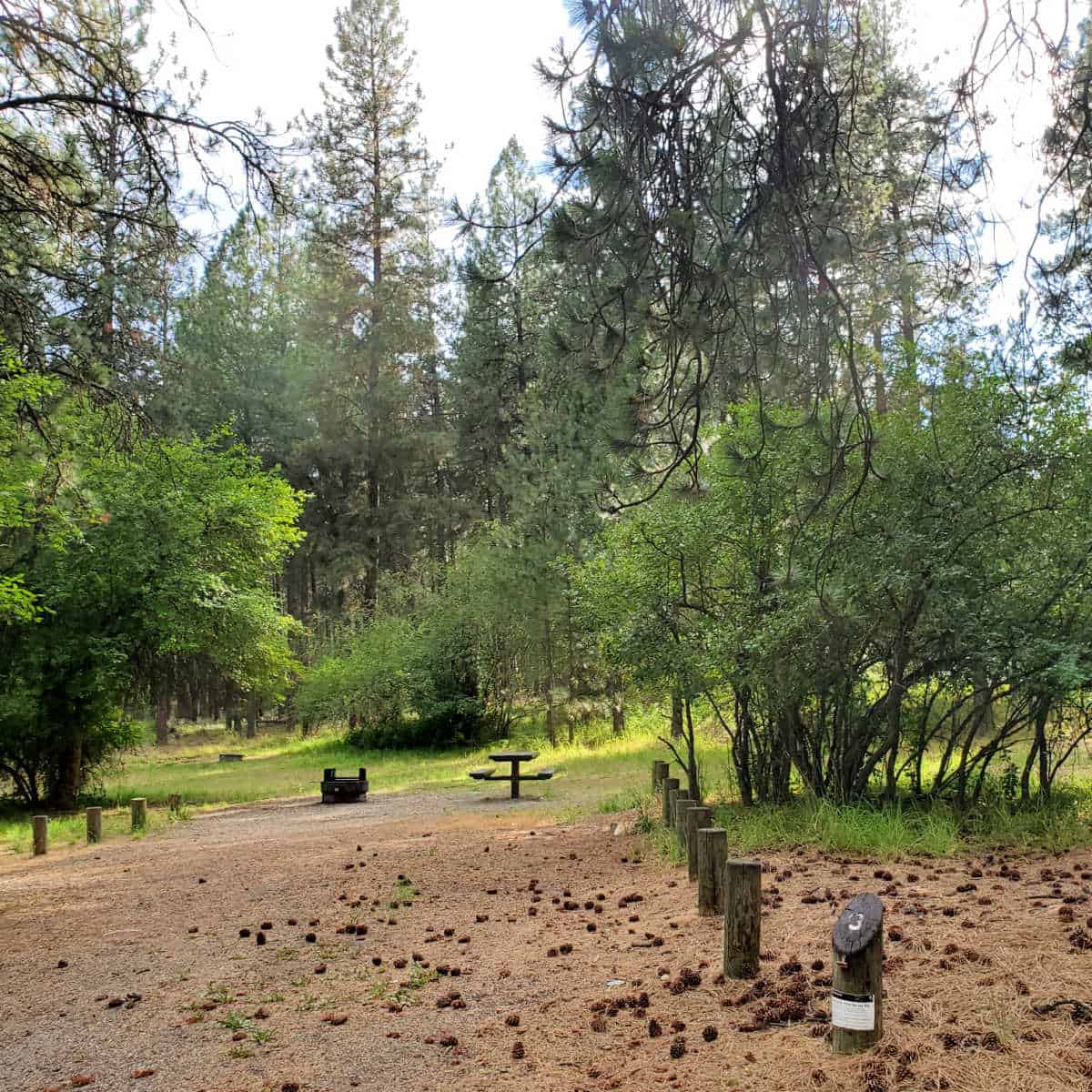 Campsite 3 Haag Cove Campground Lake Roosevelt National Recreation Area