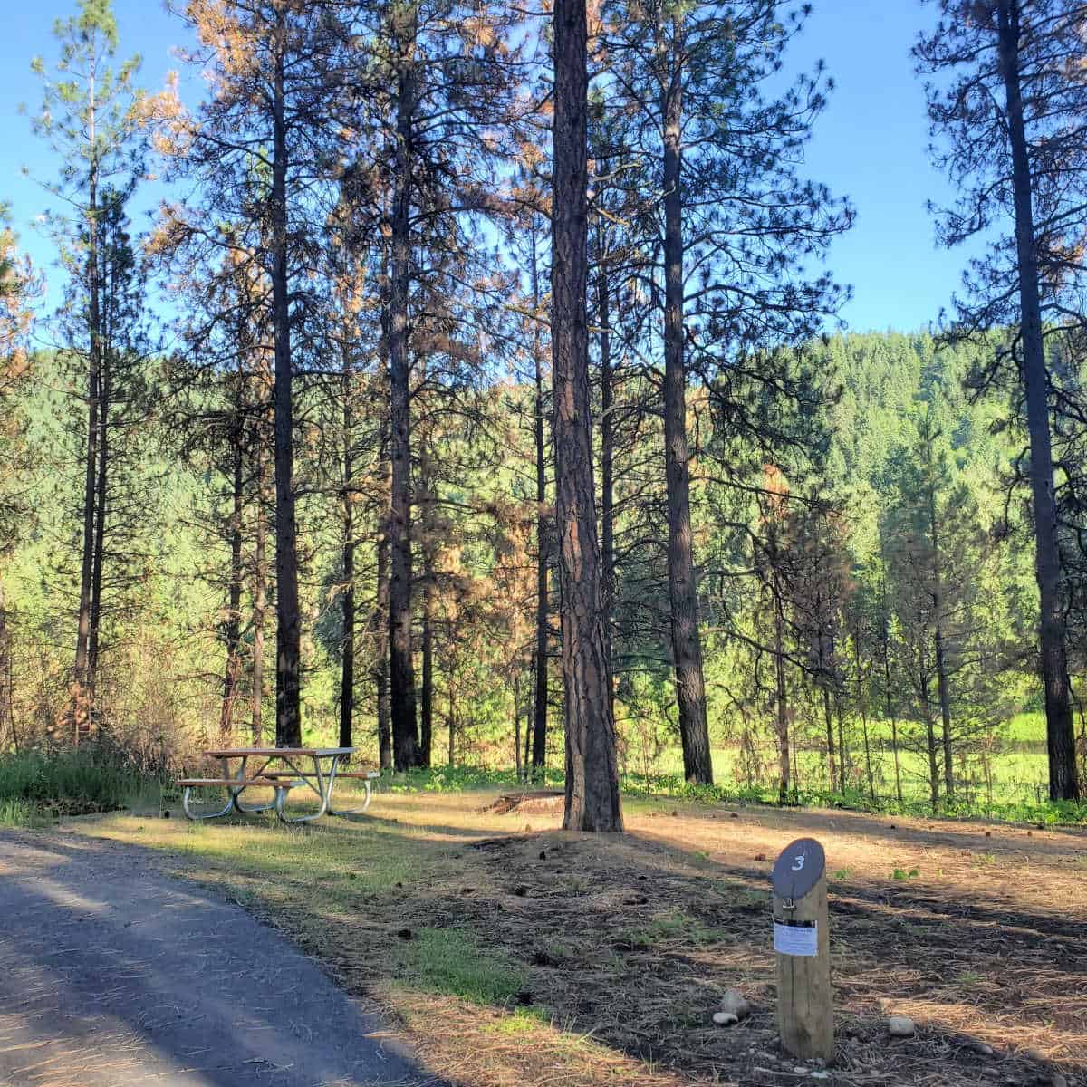 Campsite 3 Marcus Island Campground Lake Roosevelt National Recreation Area