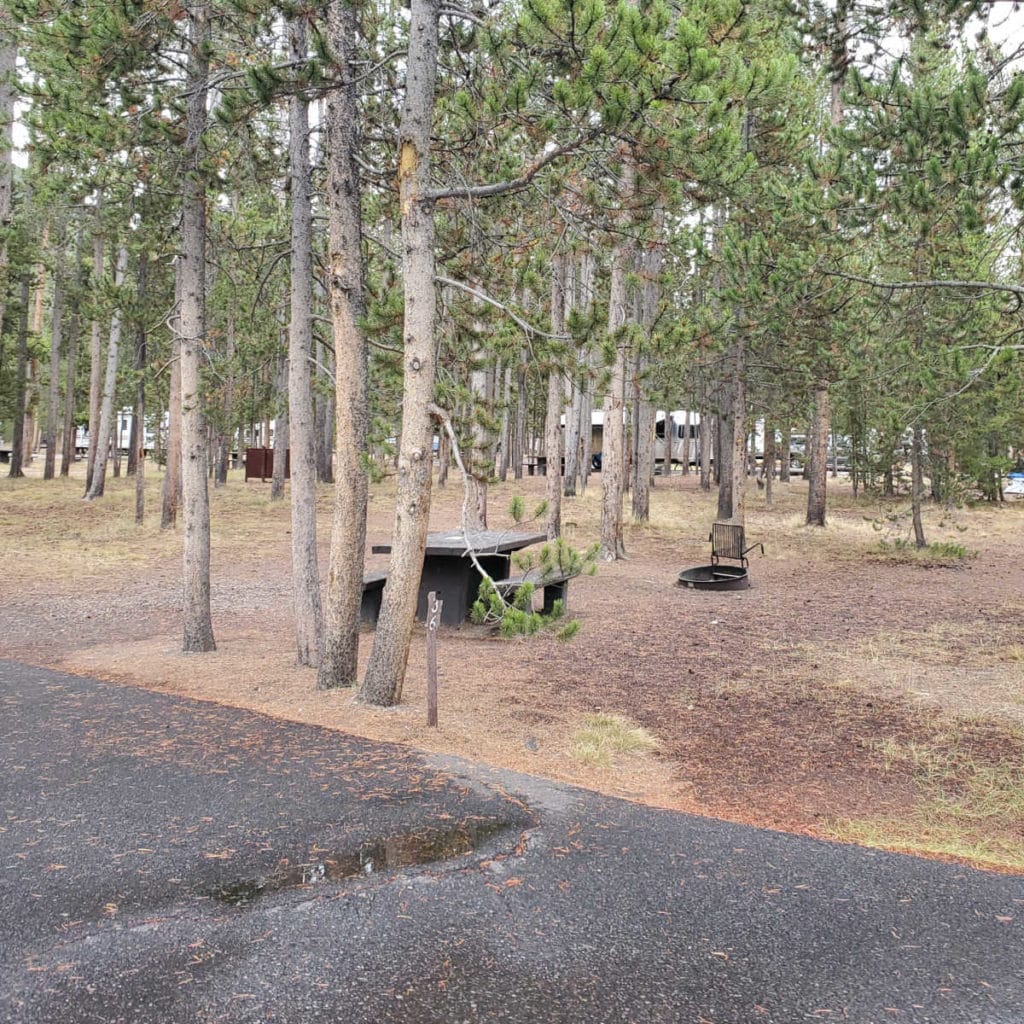 Campsite 36 Madison Campground Yellowstone National Park