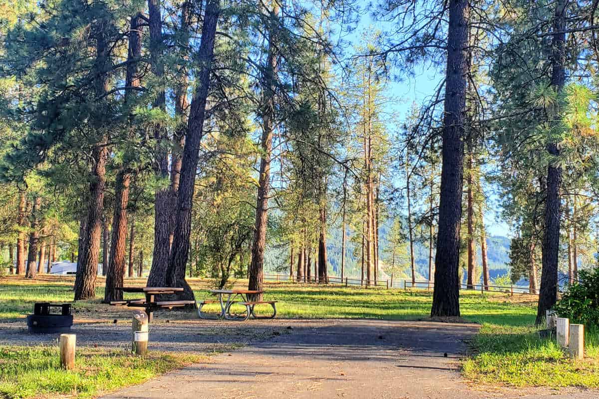 Campsite 37 Evans Campground Lake Roosevelt National Recreation Area