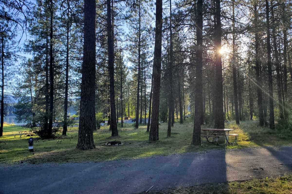 Campsite 4 Evans Campground Lake Roosevelt National Recreation Area