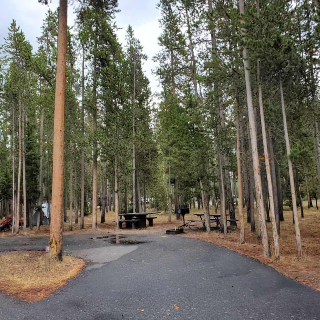 Campsite 4 Madison Campground Yellowstone National Park