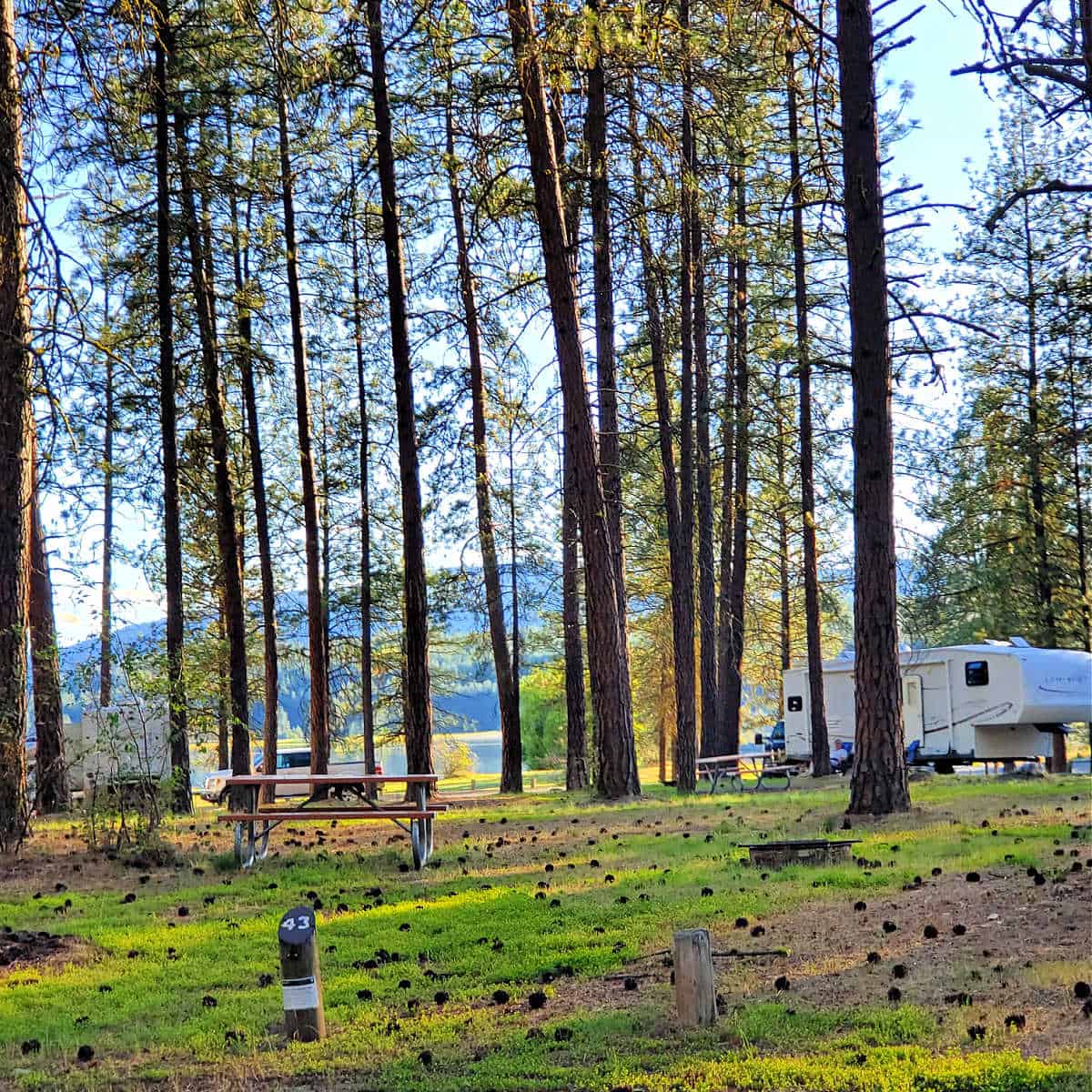 Campsite 43 Evans Campground Lake Roosevelt National Recreation Area