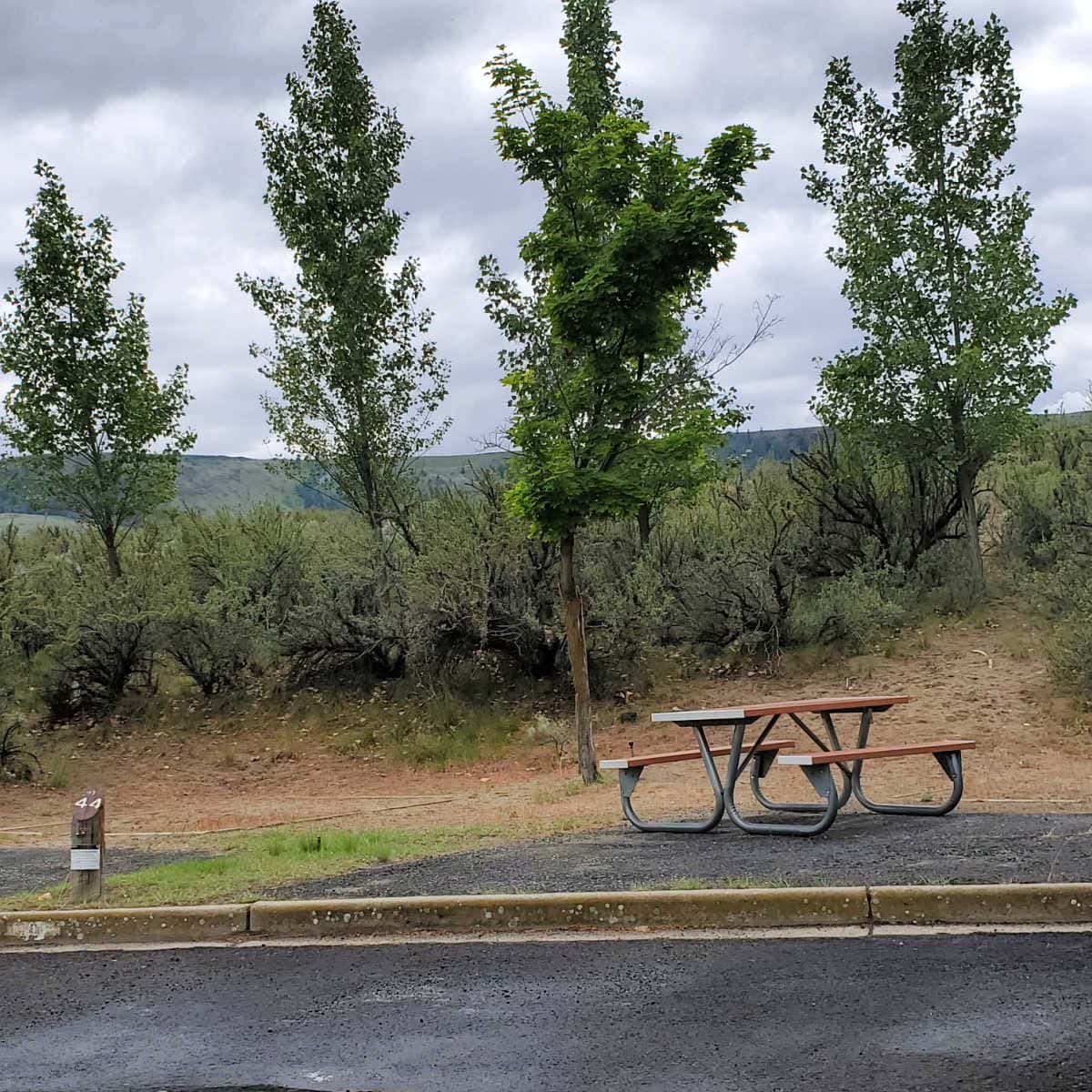 Campsite 44 Spring Canyon Campground Lake Roosevelt National Recreation Area Washington