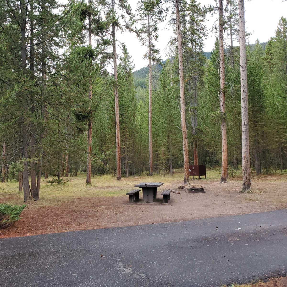 Campsite 50 Madison Campground Yellowstone National Park
