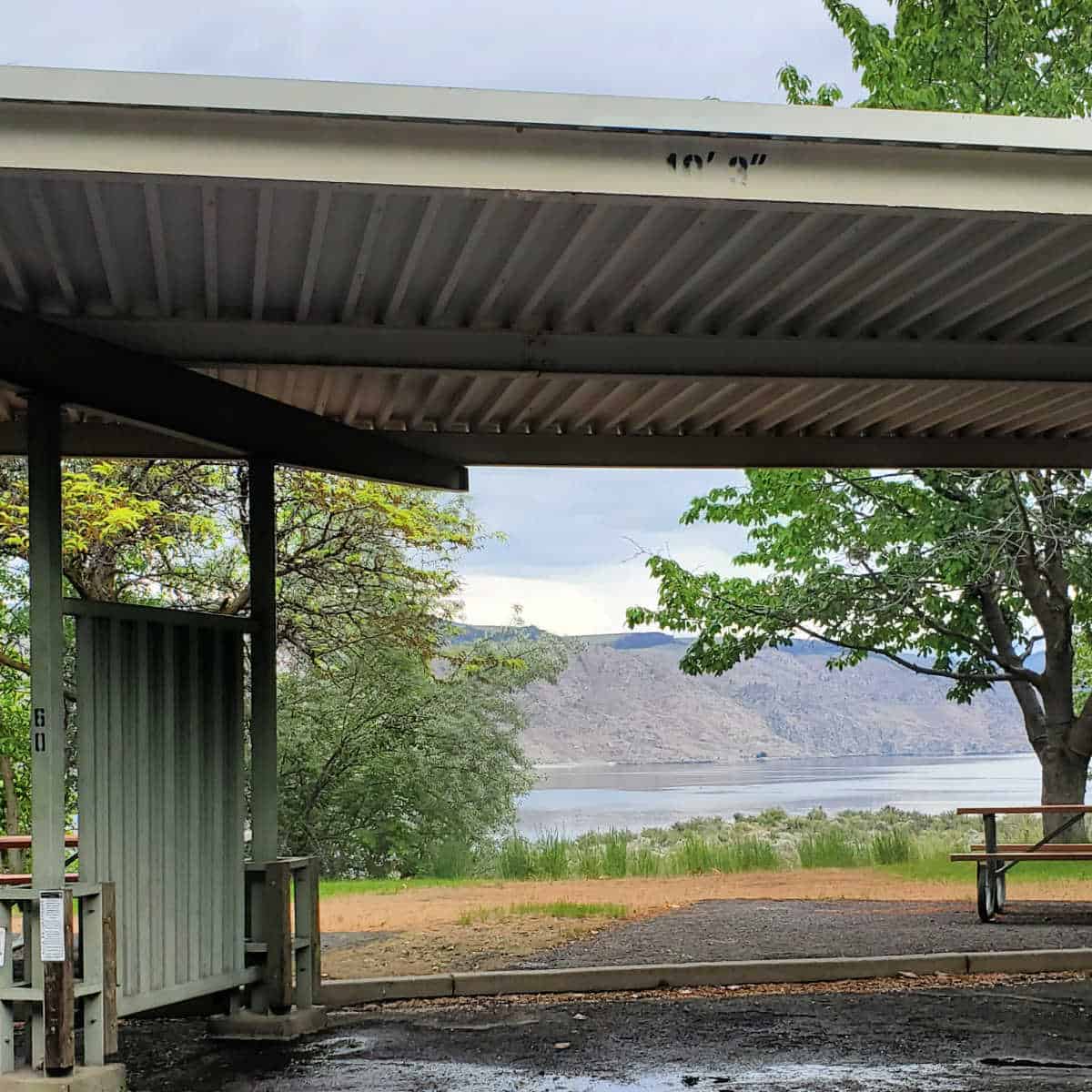 Campsite 60 Spring Canyon Campground Lake Roosevelt National Recreation Area Washington