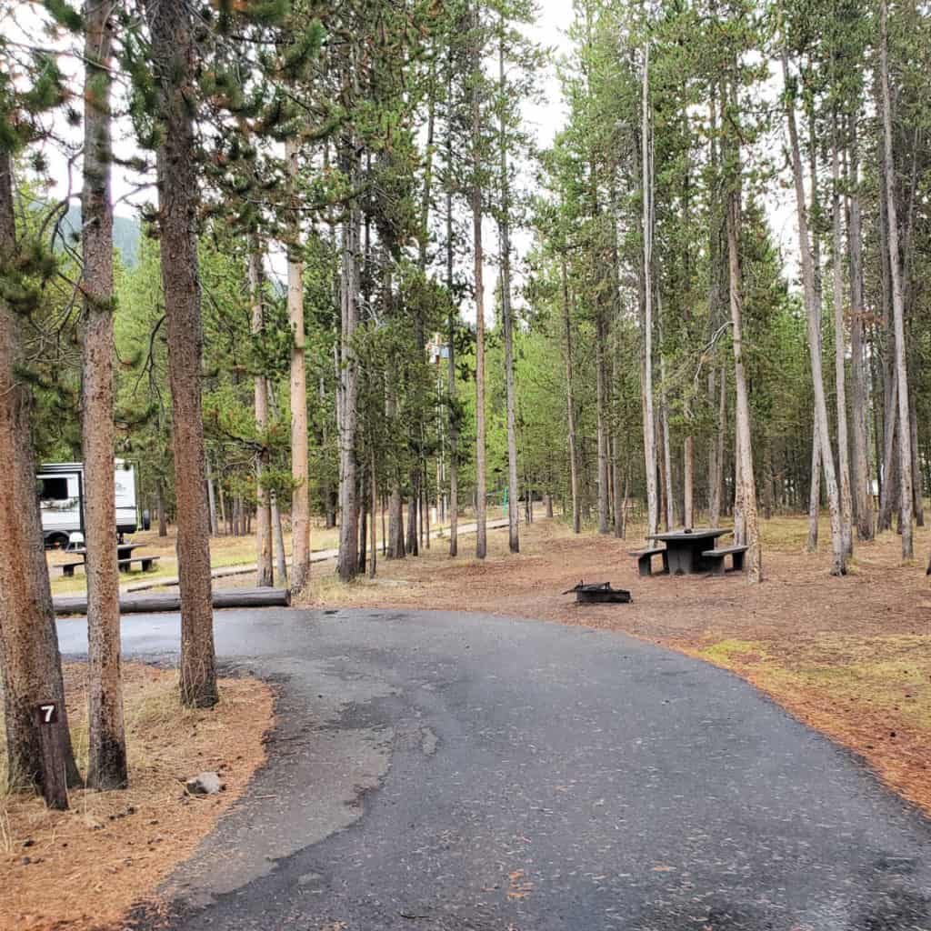 Campsite 7 Madison Campground Yellowstone National Park
