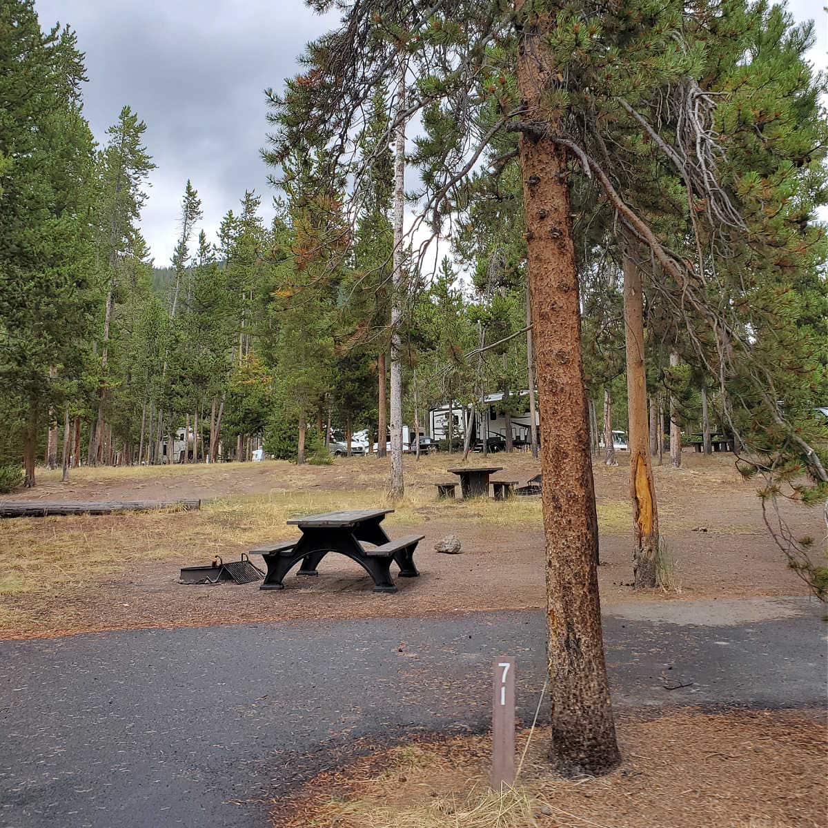 Campsite 71 Madison Campground Yellowstone National Park