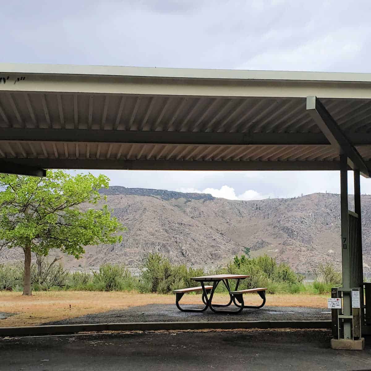 Campsite 72 Spring Canyon Campground Lake Roosevelt National Recreation Area Washington