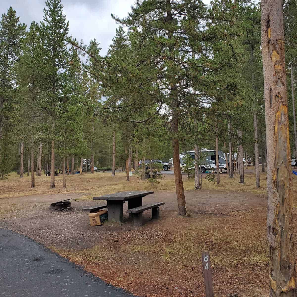 Campsite 84 Madison Campground Yellowstone National Park