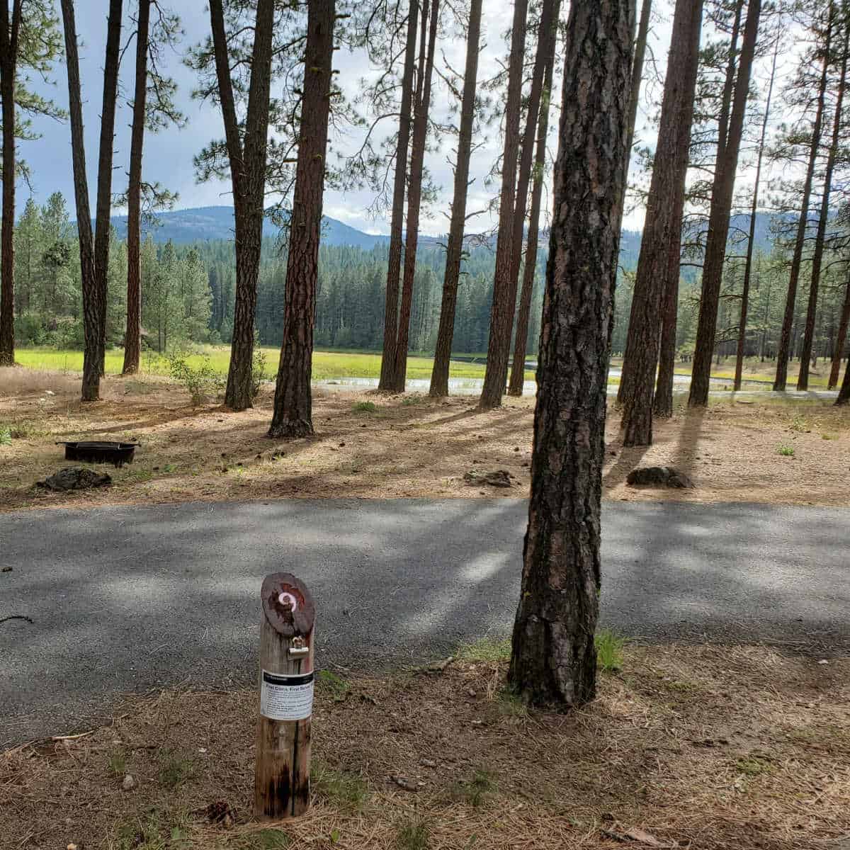 Campsite 9 Kettle River Campground Lake Roosevelt National Recreation Area Washington