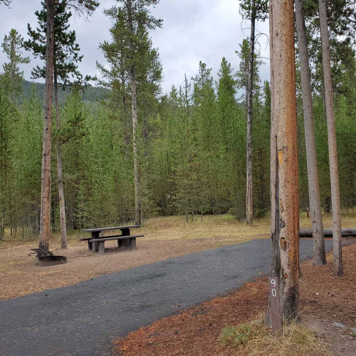 Campsite 90 Madison Campground Yellowstone National Park