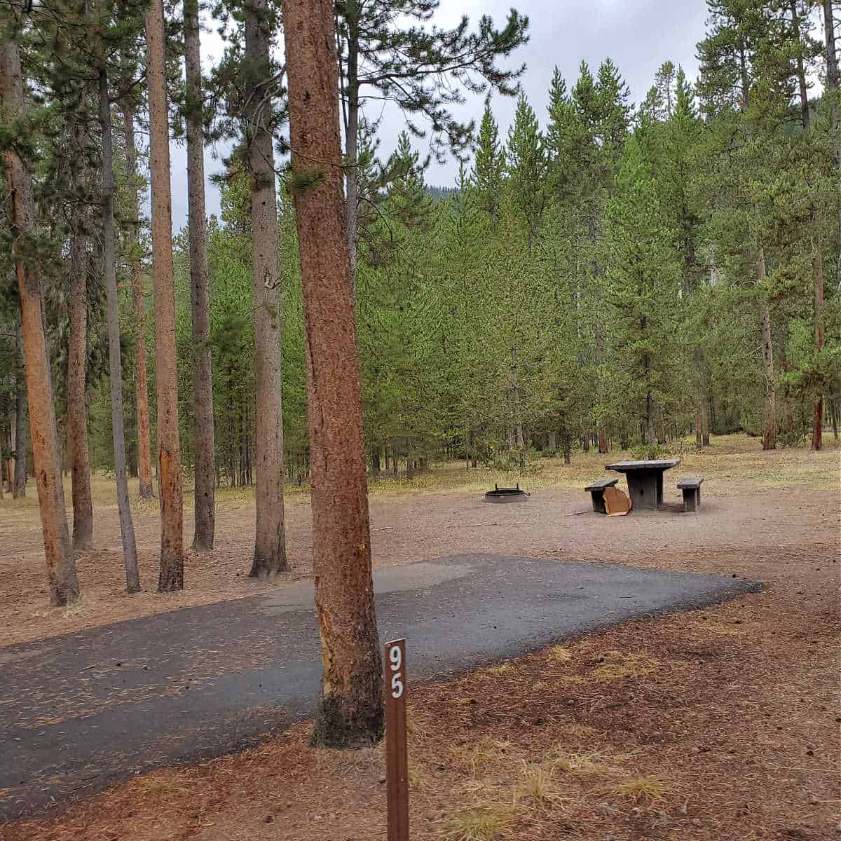 Campsite 95 Madison Campground Yellowstone National Park