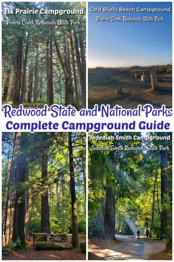 Redwood National Park Camping Guide