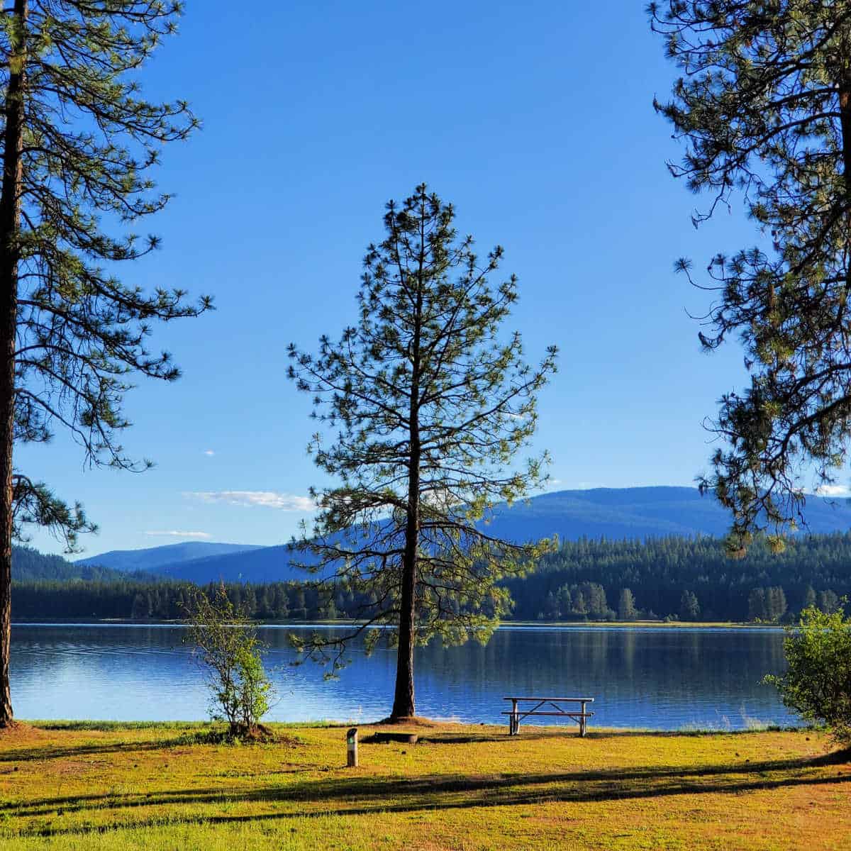 Evans Campground Lake Roosevelt National Recreation Area Washington