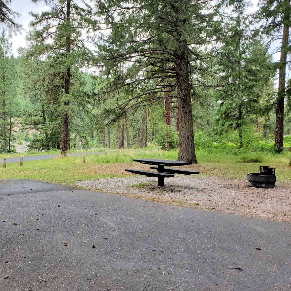 Lake Roosevelt Kamloops Island Campground WA