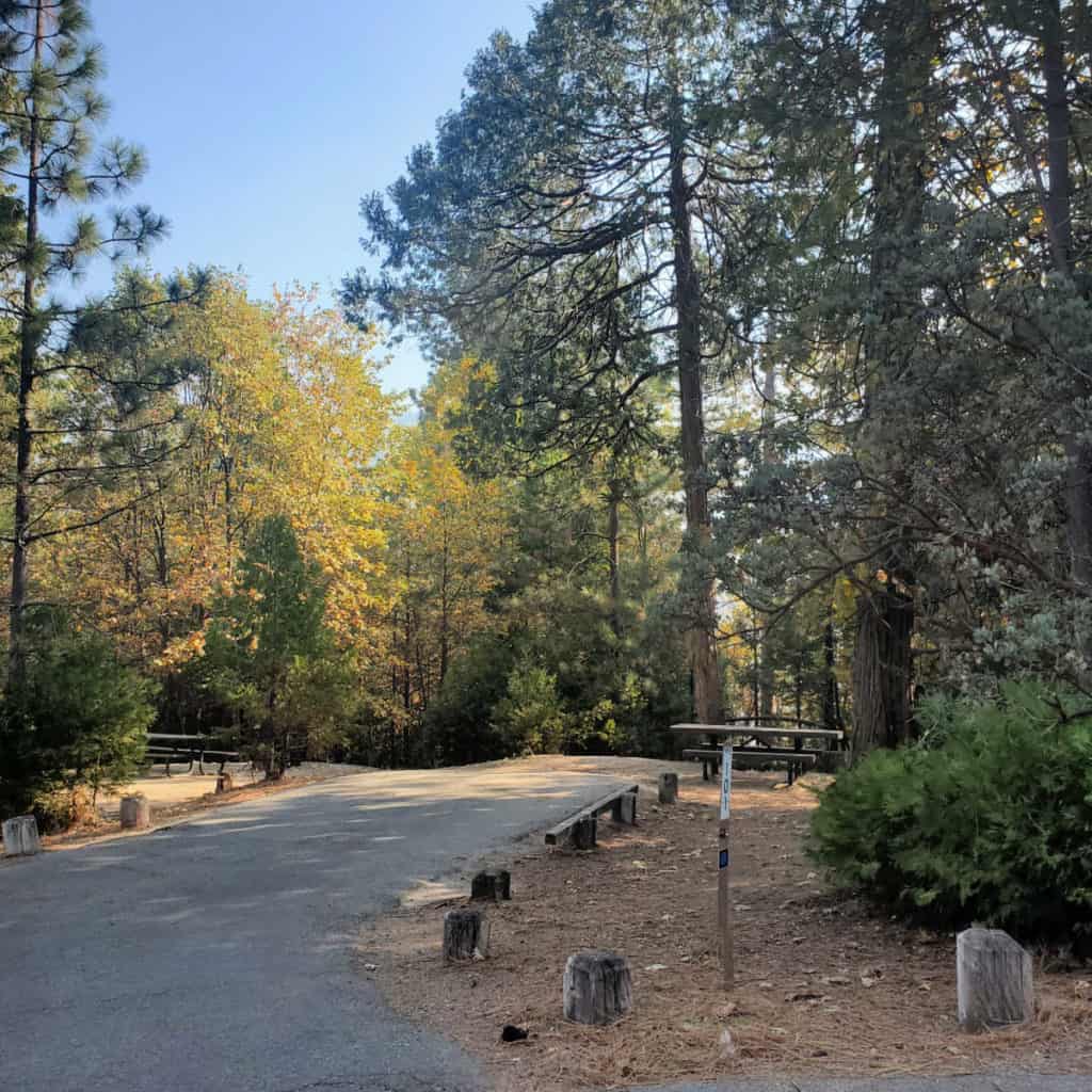 Campsite 101 Lupine Campground Bass Lake