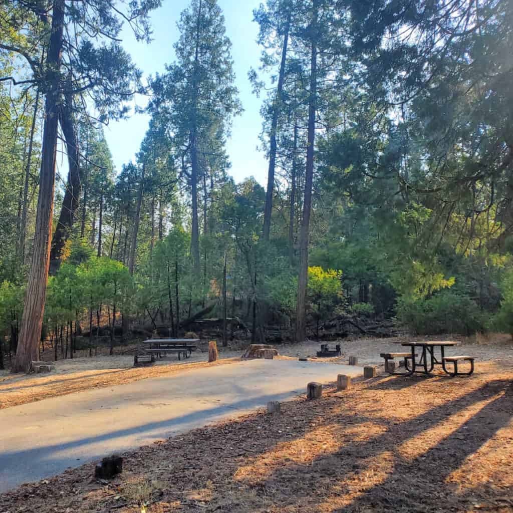 Campsite 81 Lupine Campground Bass Lake